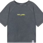 alix raglan logo t shirt bp v p tapoq