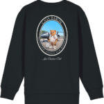 baron filou the globetroller pullover black bp ap ah tbbbz