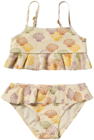 salted stories shells bikini bp tl apj tddei