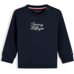 tommy hilfiger longsleeve t shirt cg bp p cq tfnal