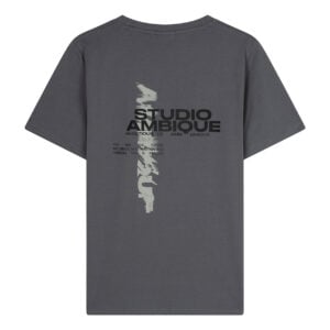 ambique backprint t shirt ace stone grey bp n bnv thak