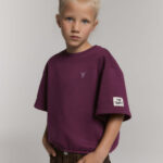 alix cropped t shirt aubergine bp dt tkoq