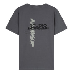 ambique backprint t shirt ace stone grey bp n bnv thak