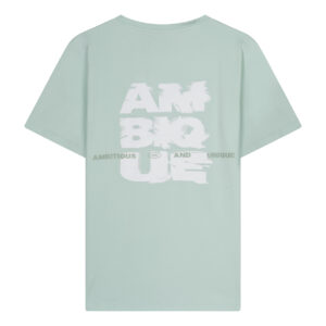 ambique backprint t shirt damon mint green bp m bob tebct