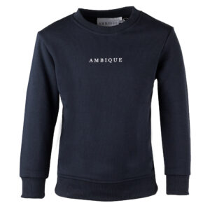 ambique kris sweater navy bp b toge